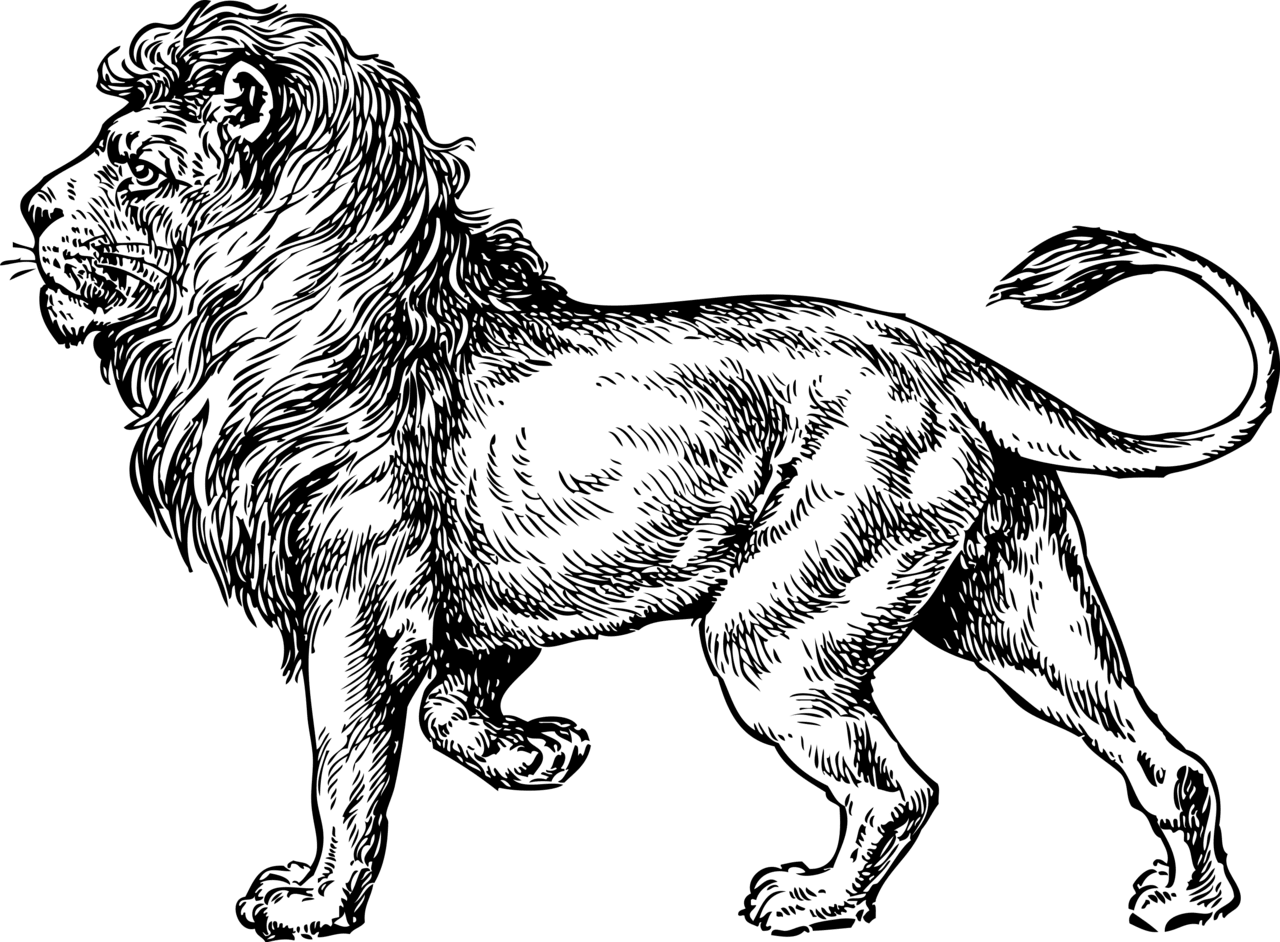 Lion pin page clipart image