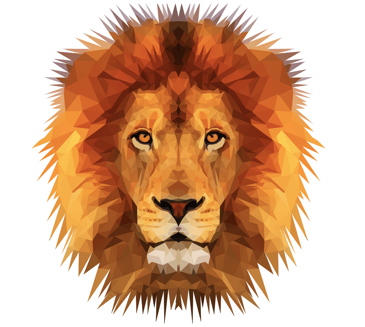 Emma simoncic lion animal clipart background