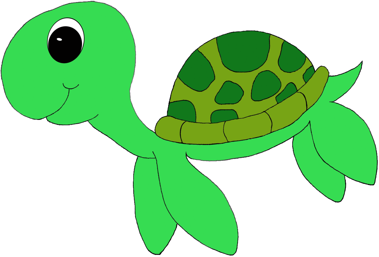 Sea turtle clipart picture