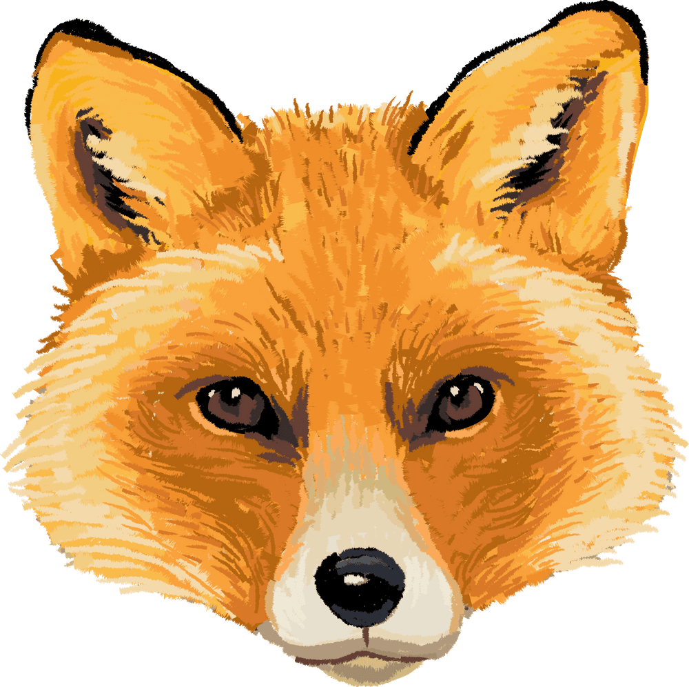 Fox face art print by jess rapoza small clipart logo