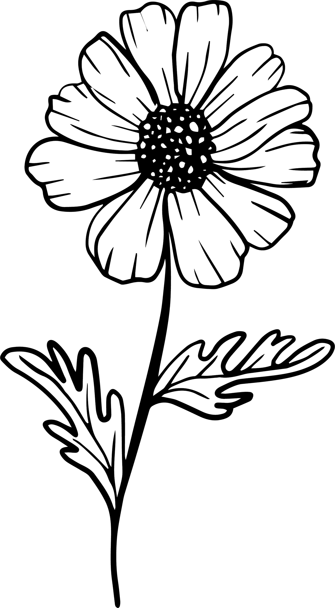 Flower black and white isolated art floral clipart photo