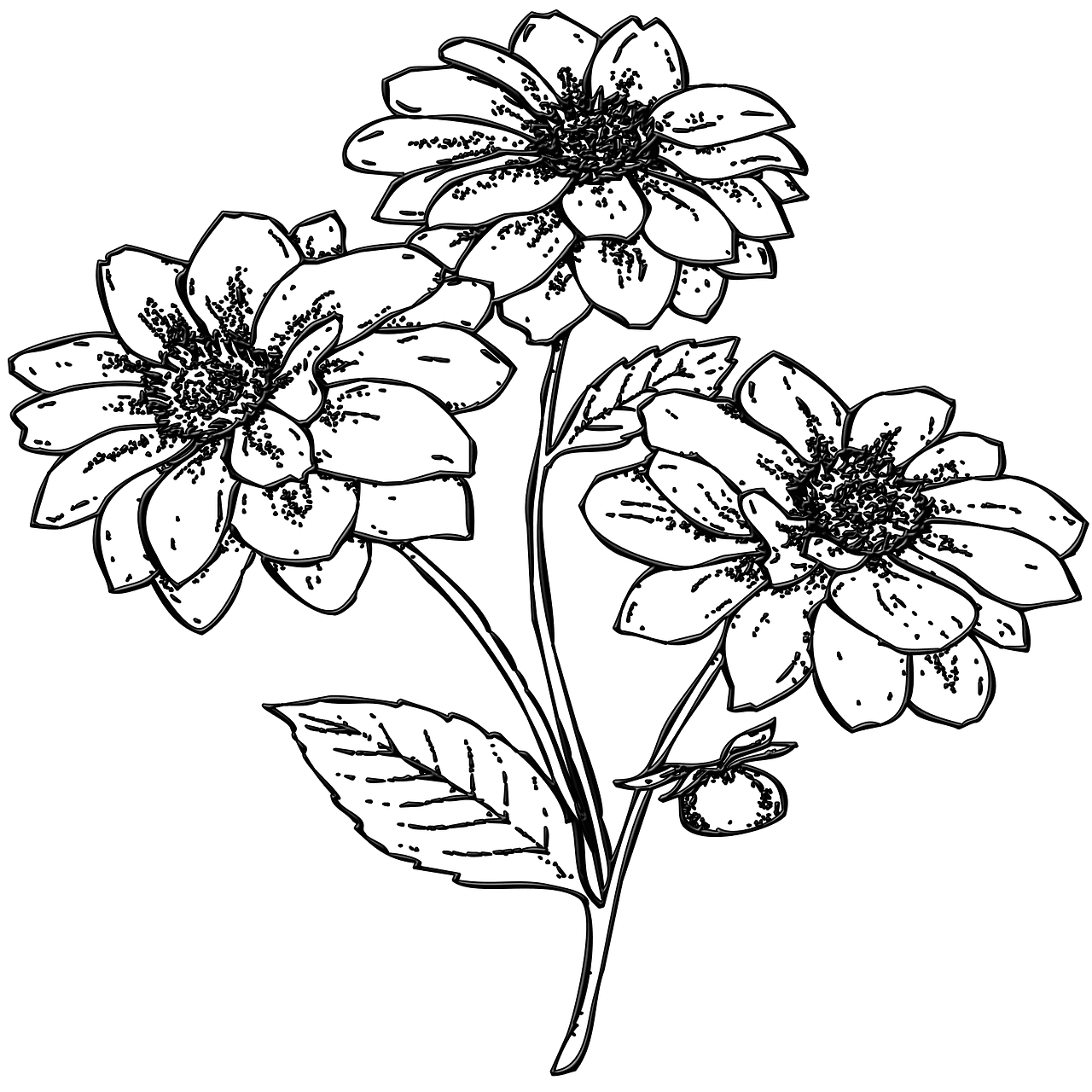 Flower black and white flowers garden plant image clipart