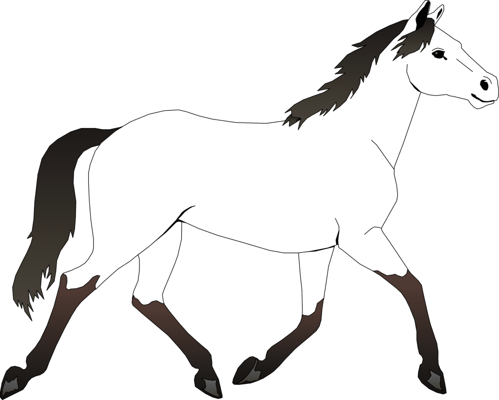 Horse coloring pages books clipart free