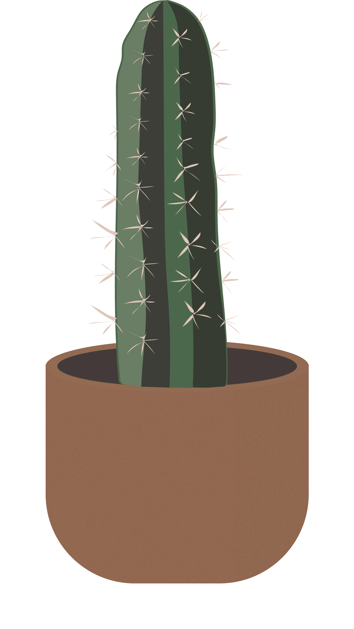 Cactus clipart picture