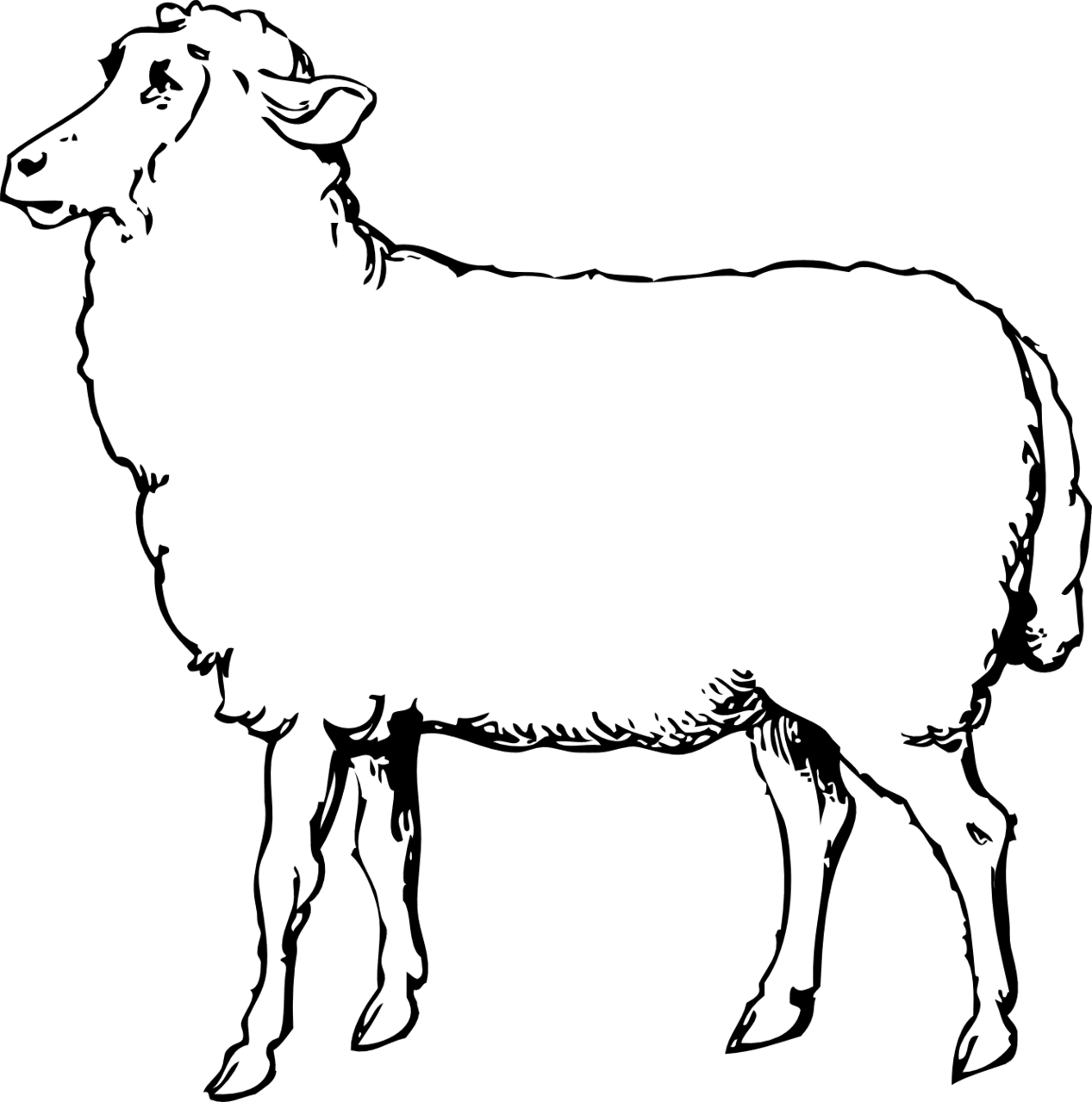 Goat lamb clipart black and white sheep line art coloring kowtdc suggest vector