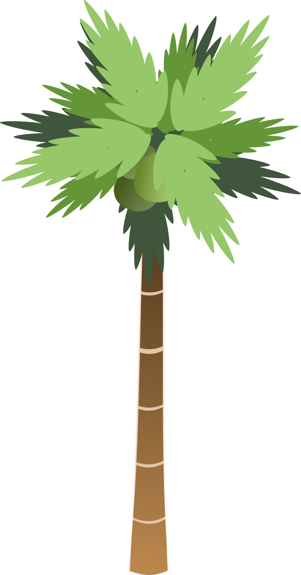 Palm tree image with background clipart