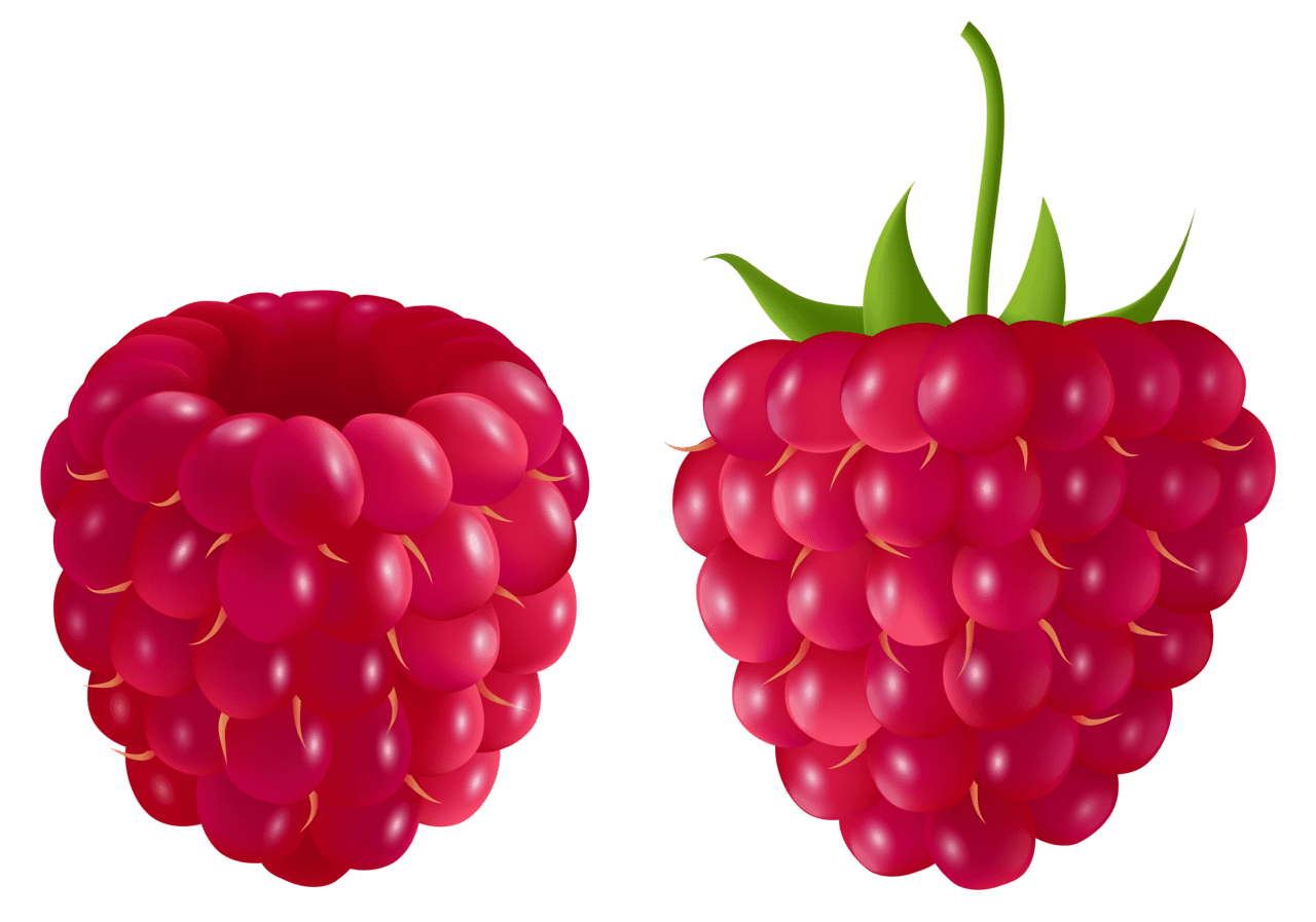 Fruit raspberry clipart picture