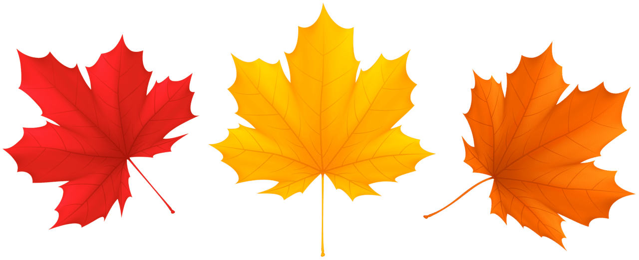 Set fall leaves clipart image yopriceville high quality images and autumn