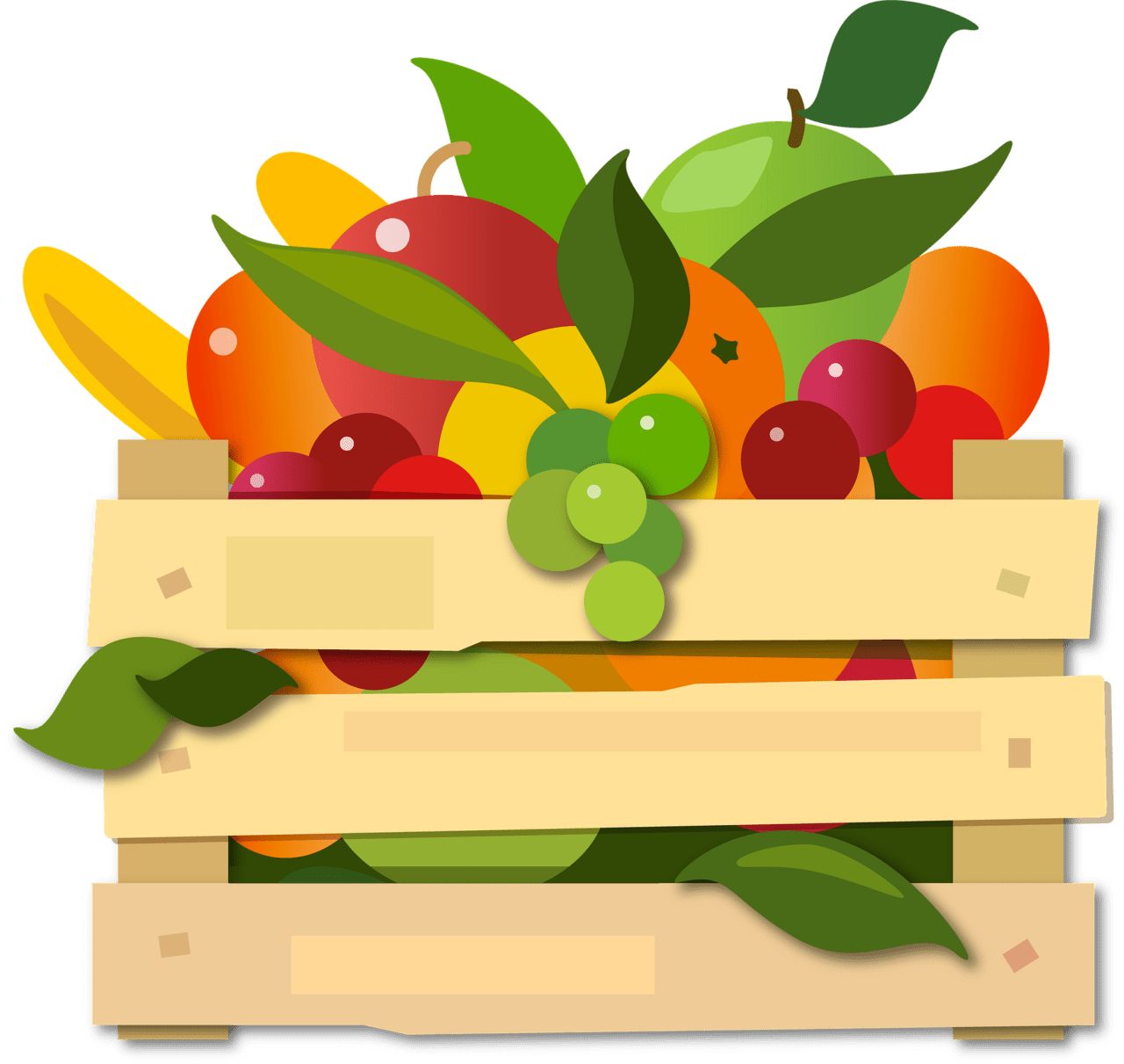 Fruit export from india clipart background