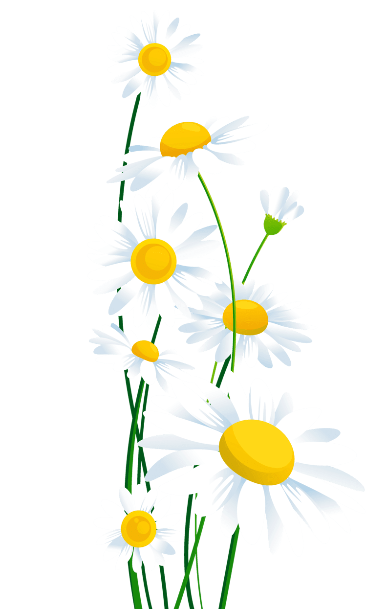 Daisy pin page clipart picture