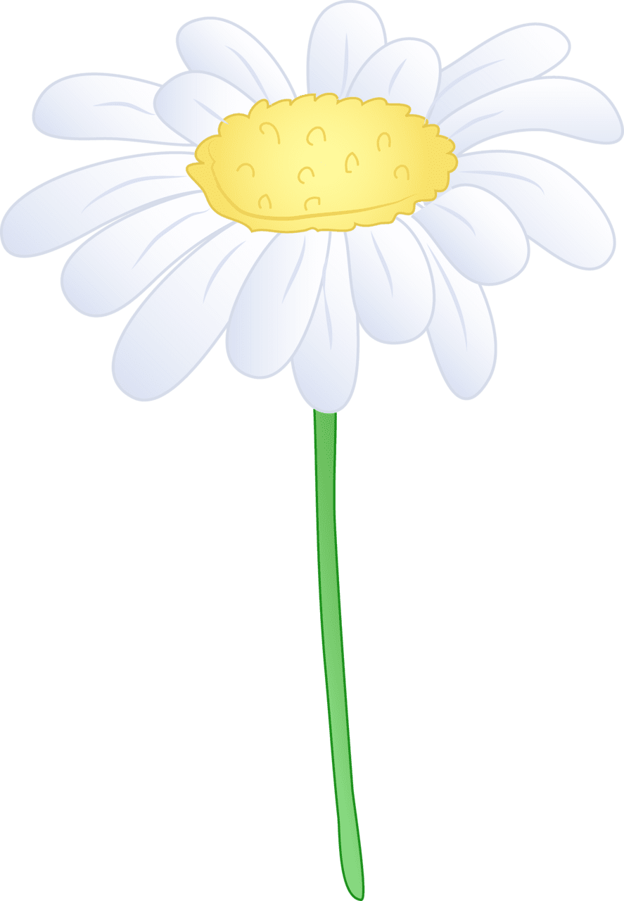 Daisy clip flower images and clipart