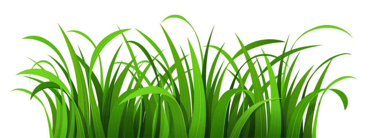 Grass clipart images