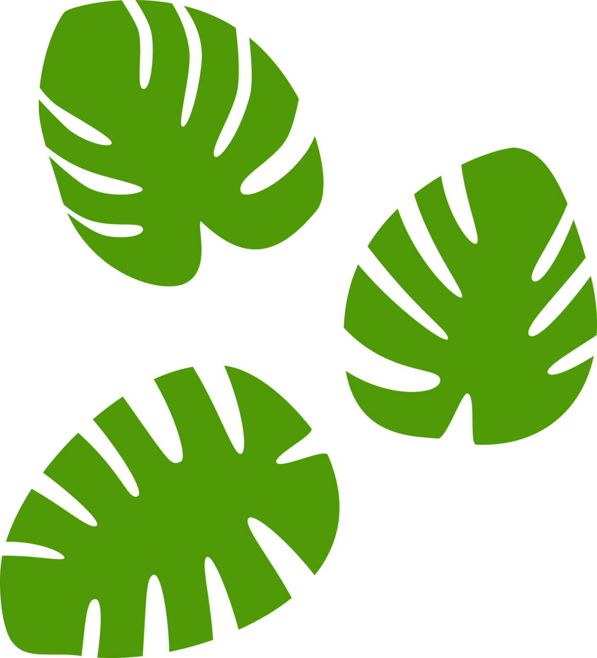 Monstera leaves clipart background