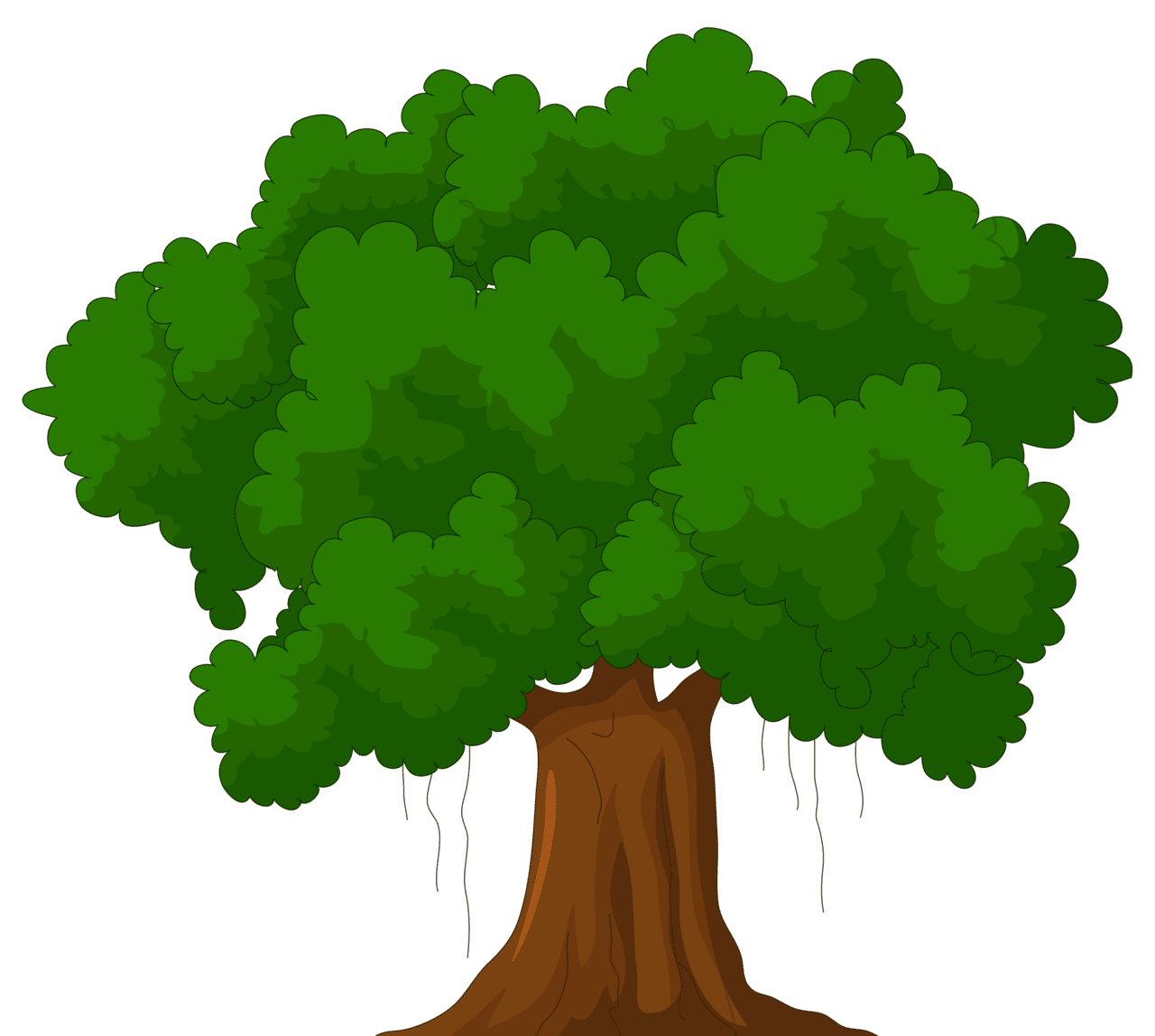 Plant tree clipart image 2