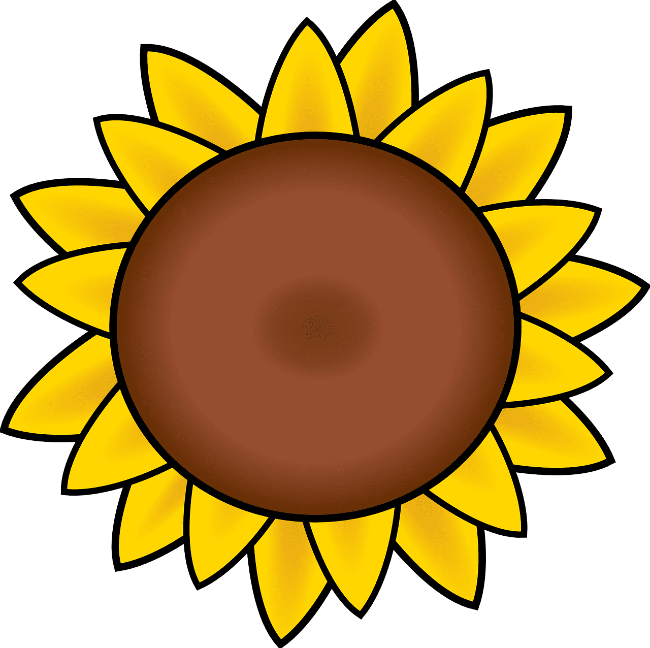 Sunflower petals drawing vector graphic clipart