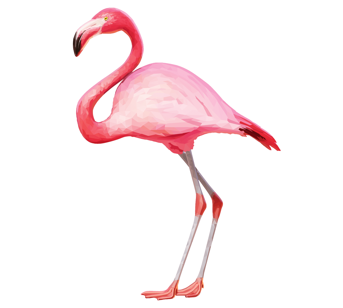 Flamingo pin page clipart image