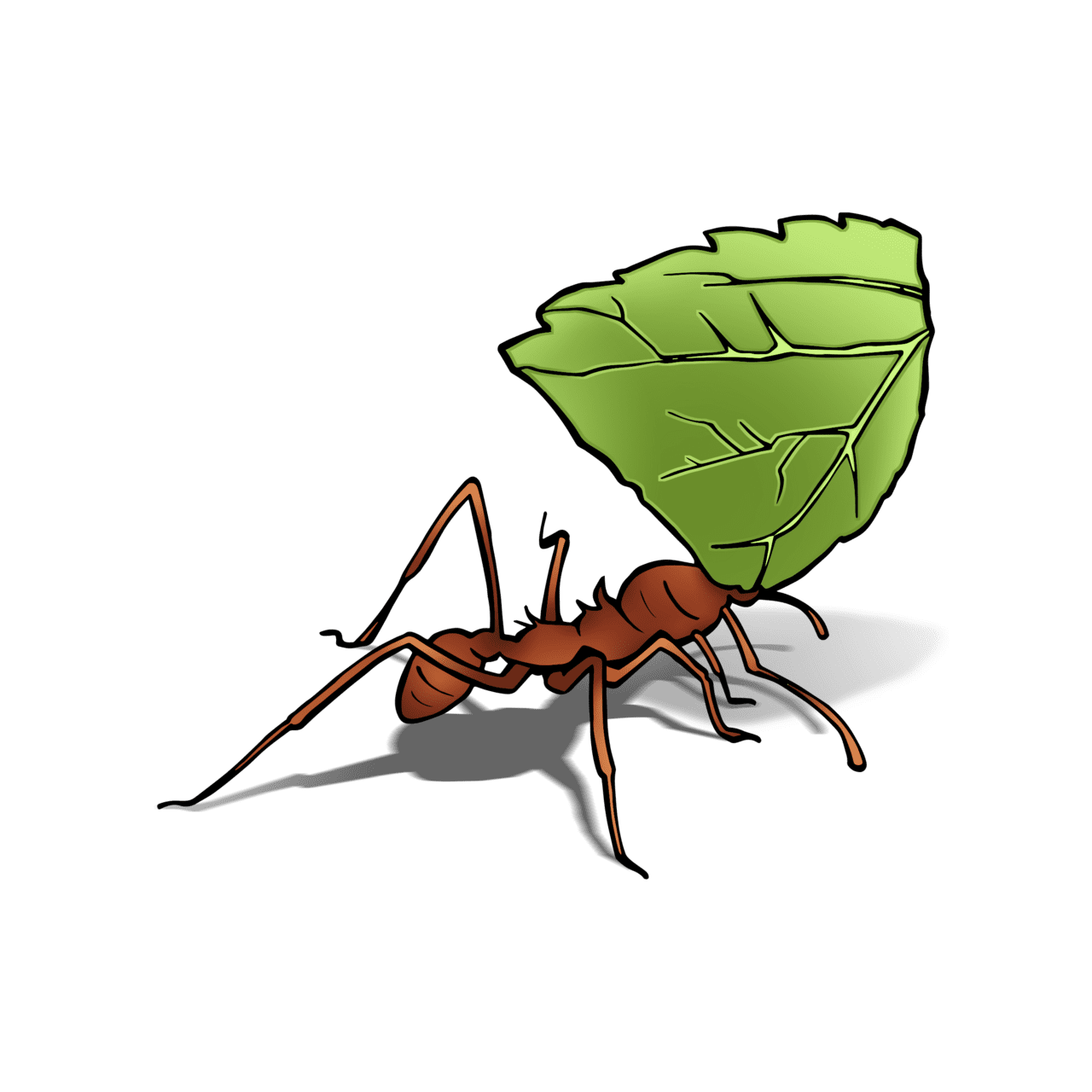 Ant pin page clipart transparent