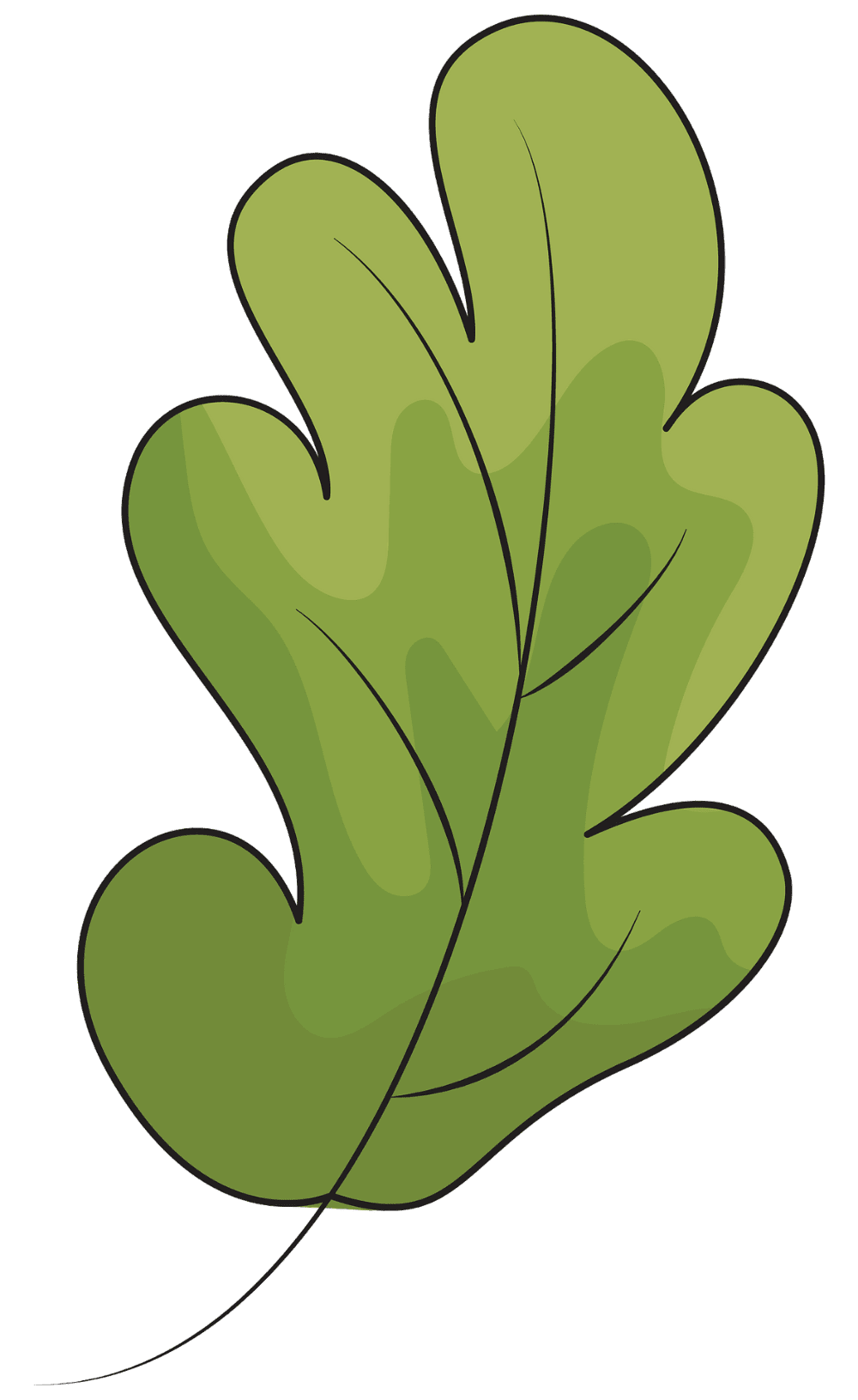 Leaves oak leaf vector clipart images creazilla