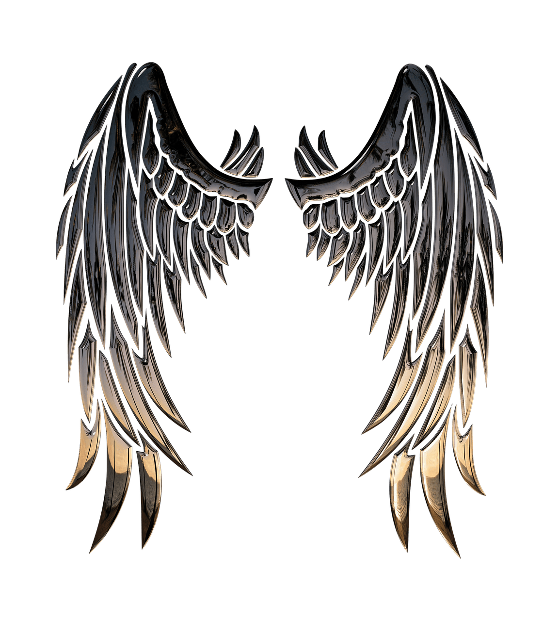 Angel wings image clipart