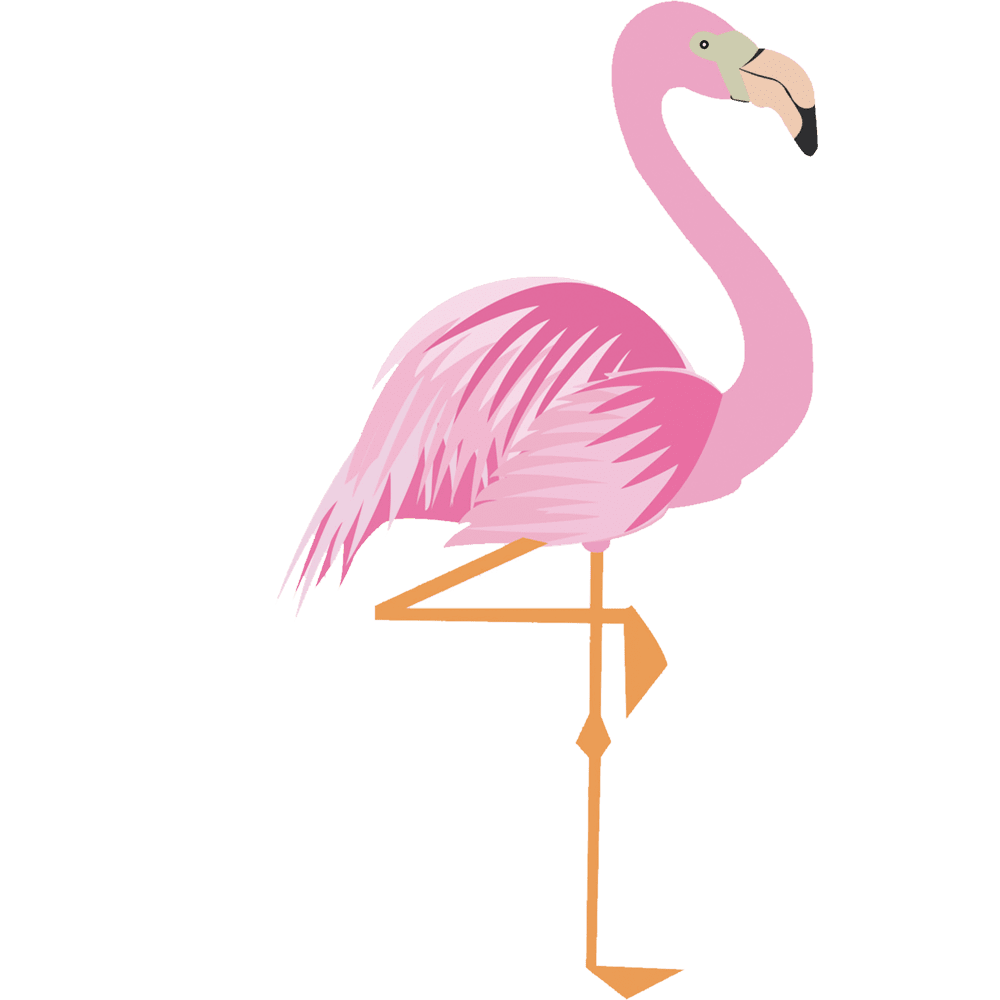 Flamingo drawing transprent pink water bird clea clipart logo