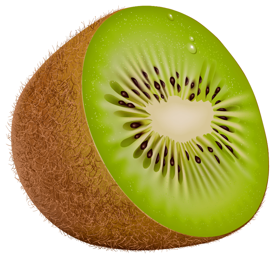 Fruit kiwi clipart best background