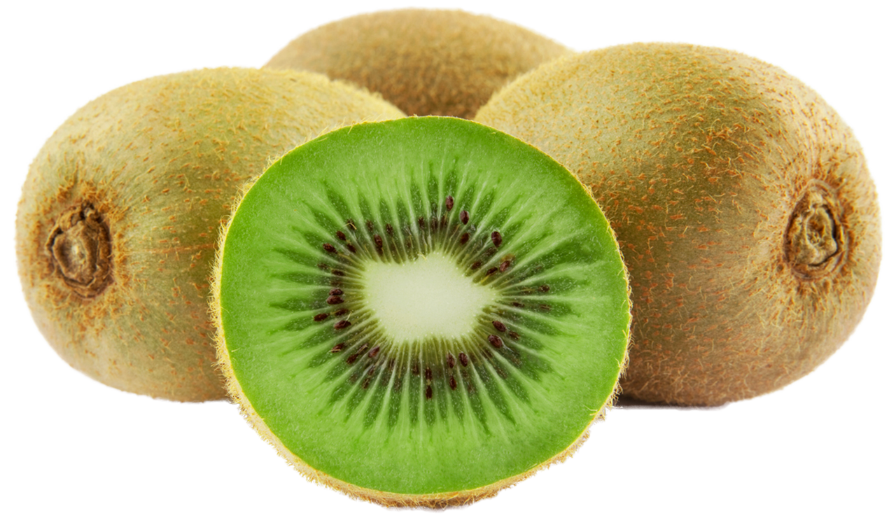 Fruit large kiwi frut clipart clip art