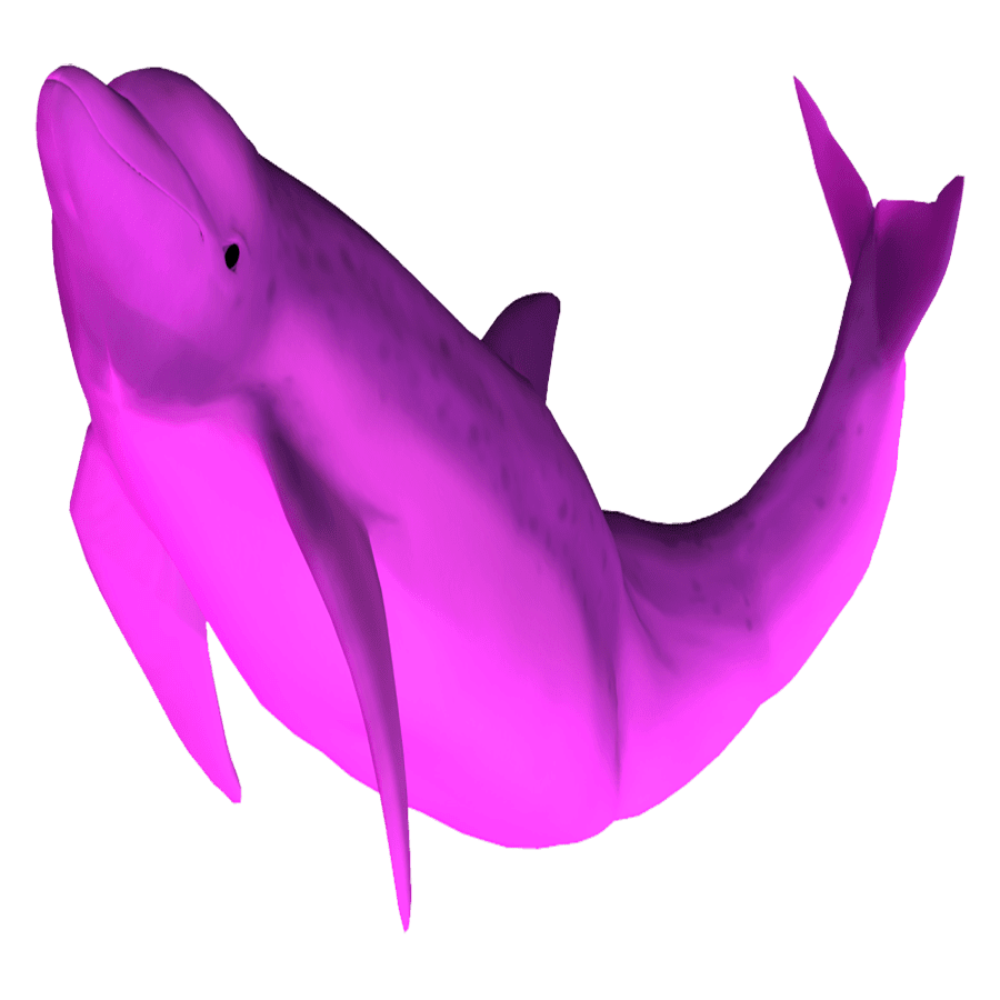 Pink dolphin images hd photo clipart 2