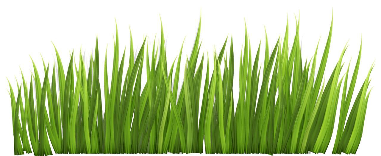 Grass pin page clipart transparent