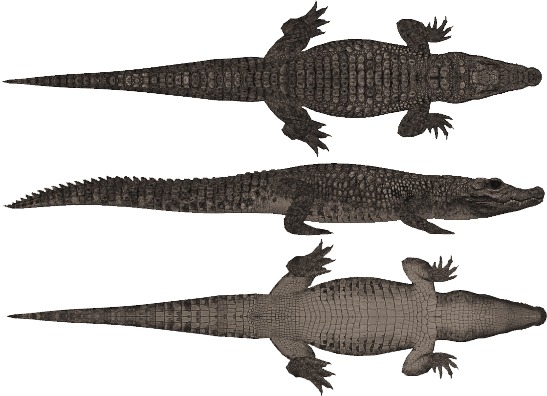 Alligator pin page clipart logo 2