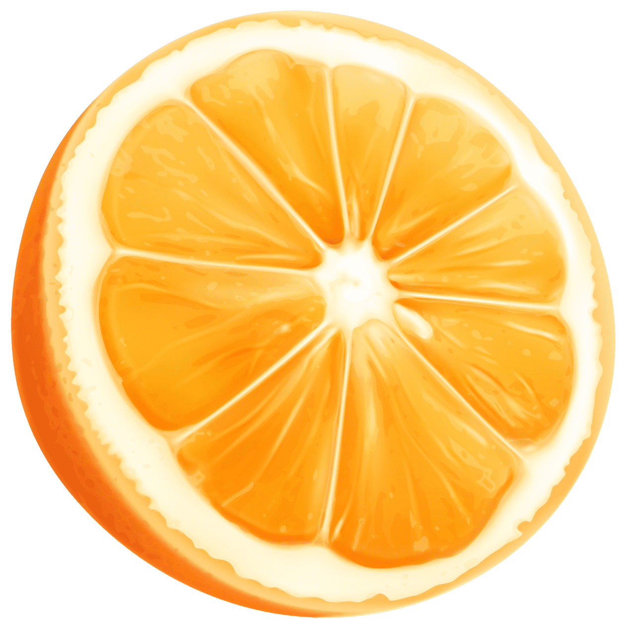 Lemon orange slice clipart image