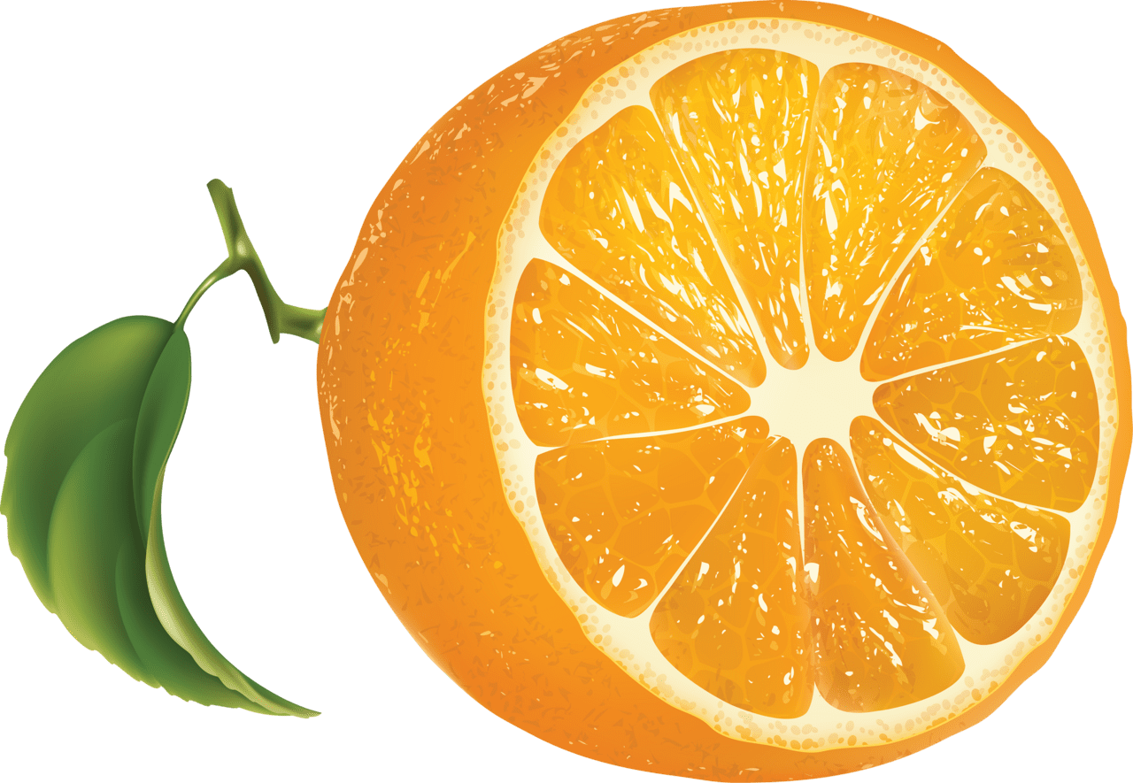 Lemon orange oranges clipart clip art