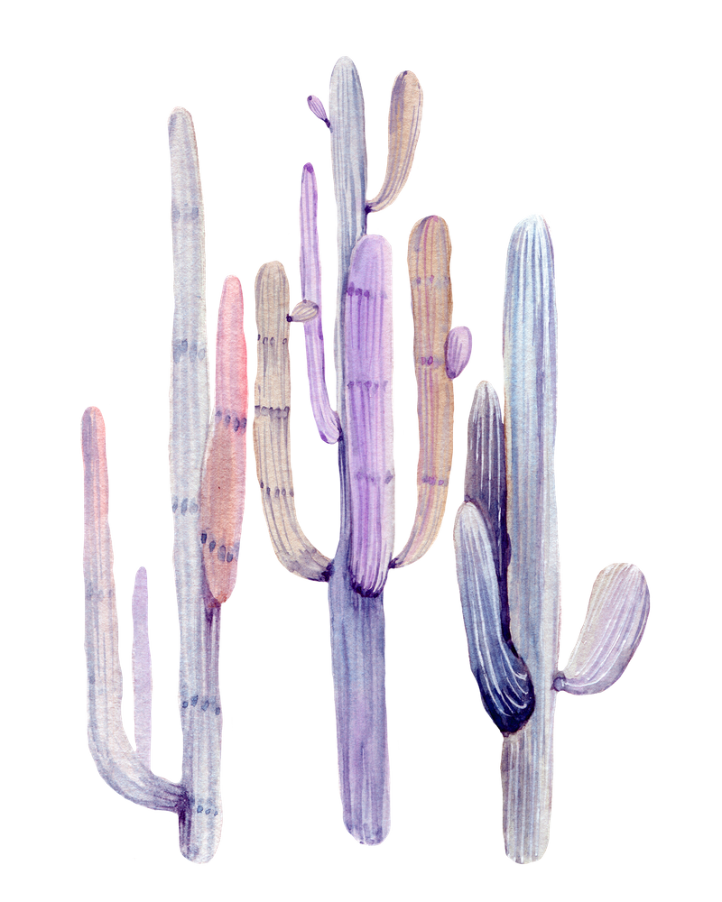 Minimalist cactus drawing watercolor painting purple art print by nature magick clipart image