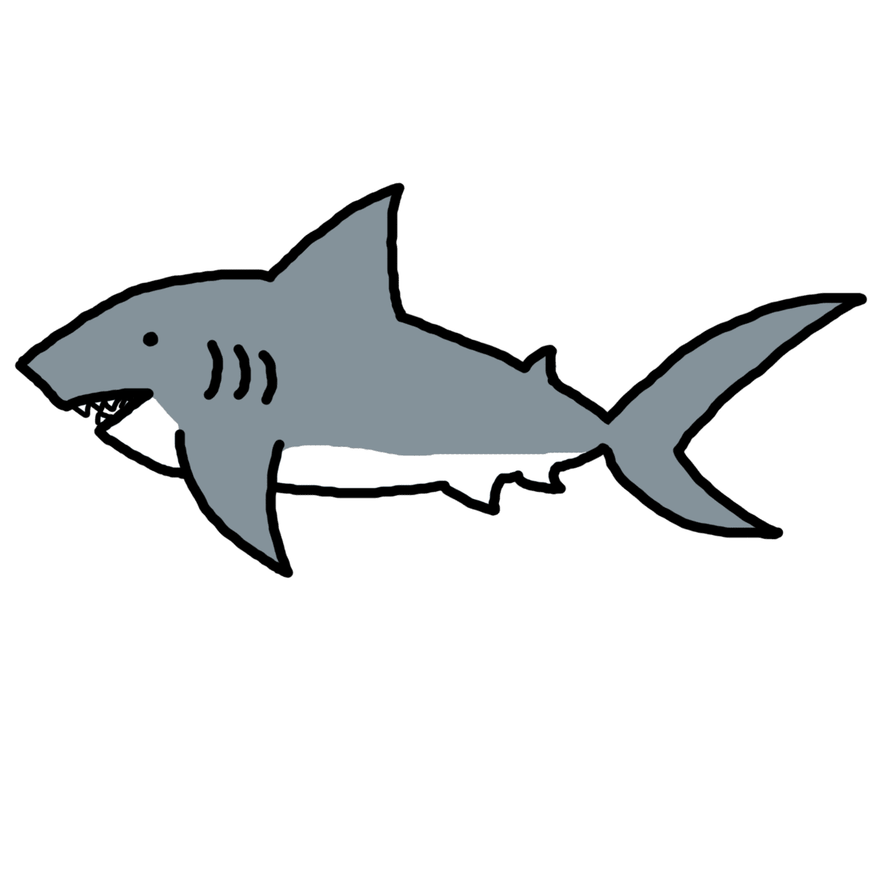 Shark clipart vector