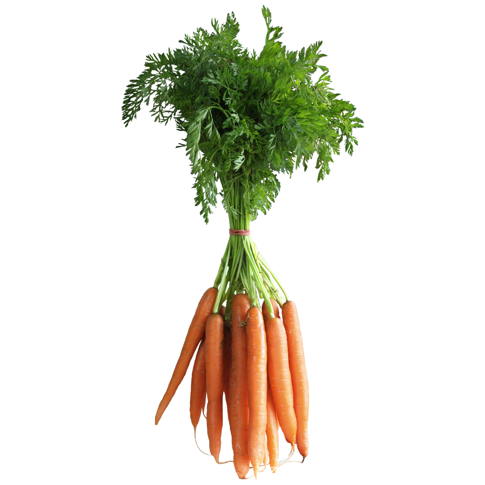 Carrot greens images hd photo clipart 2