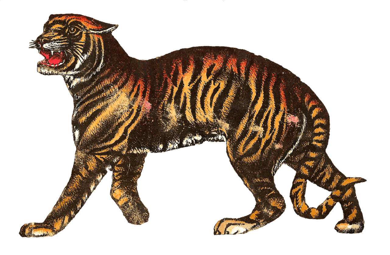 Tiger pin page clipart photo