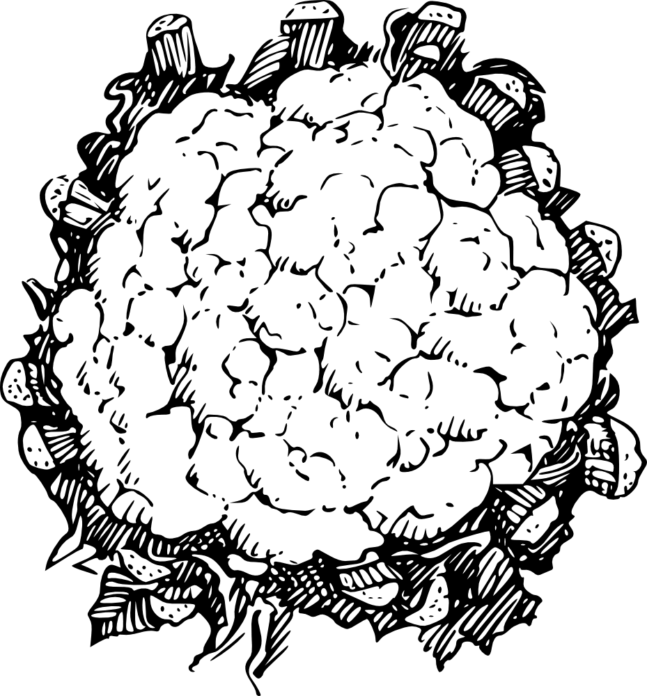 Flower black and white linelabels clipart cauliflower logo