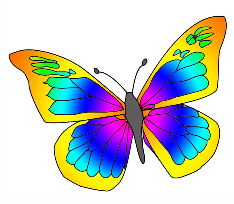 Butterflies butterfly clipart graphicsde best clip art