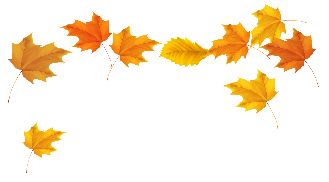 Fall leaf leaves picture clipart