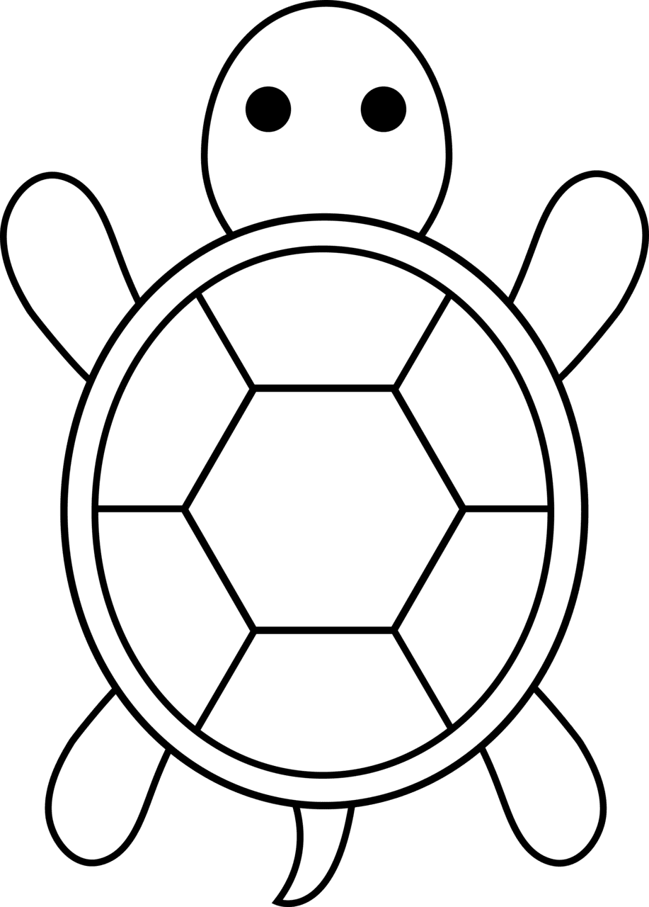 Cartoon sea turtle drawing clipart full size pinclipart free