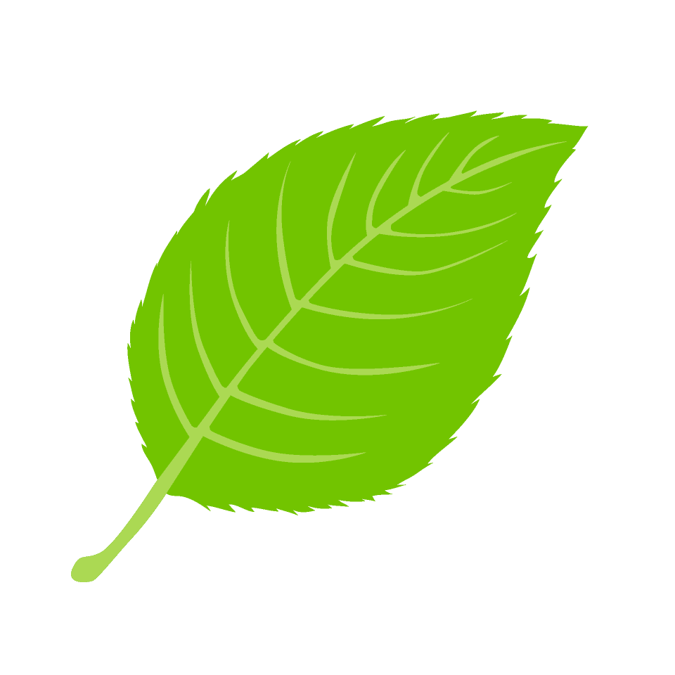 Leaves leaf clipart pictures illustoon