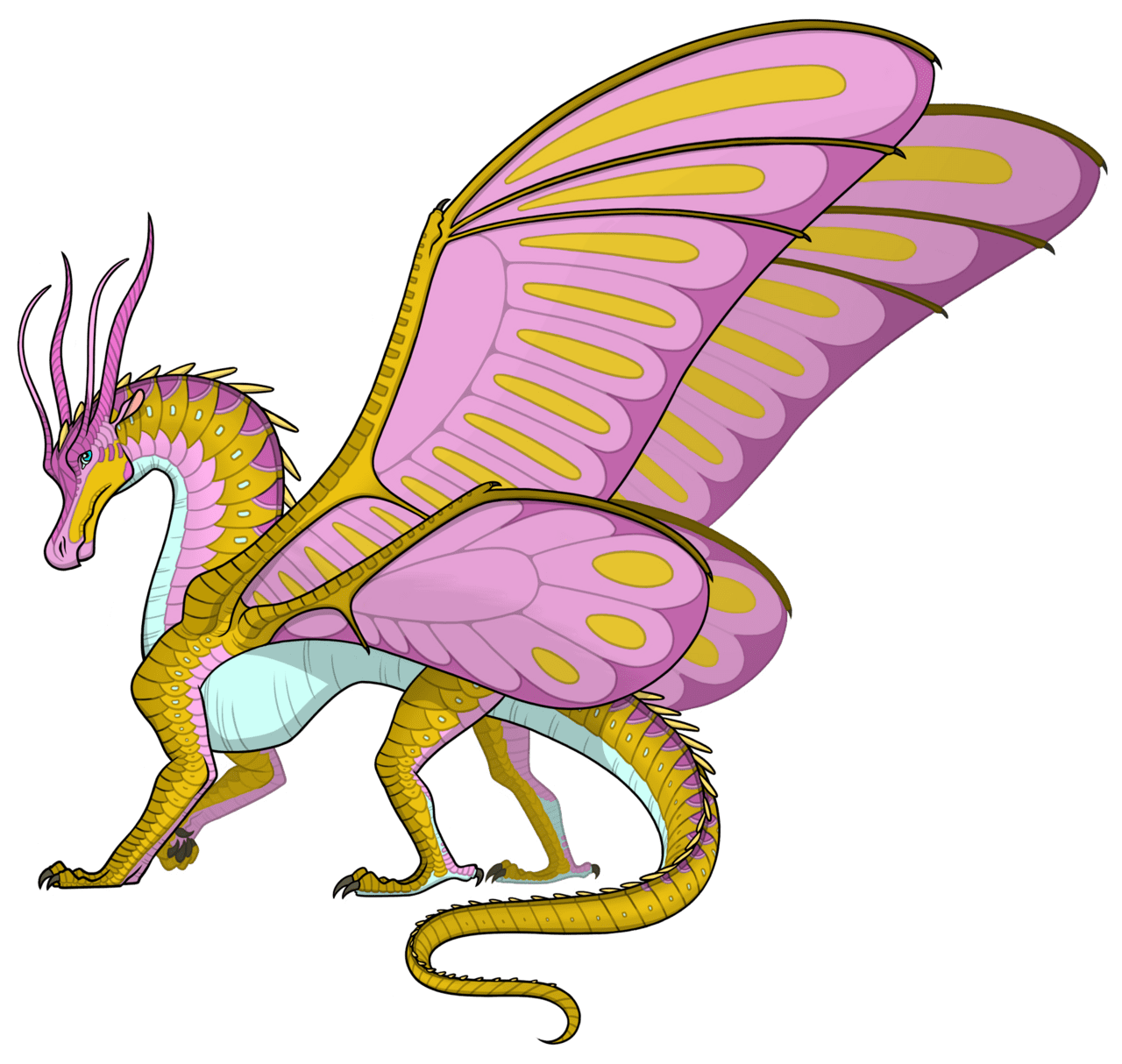 Dragon silkwing clipart logo
