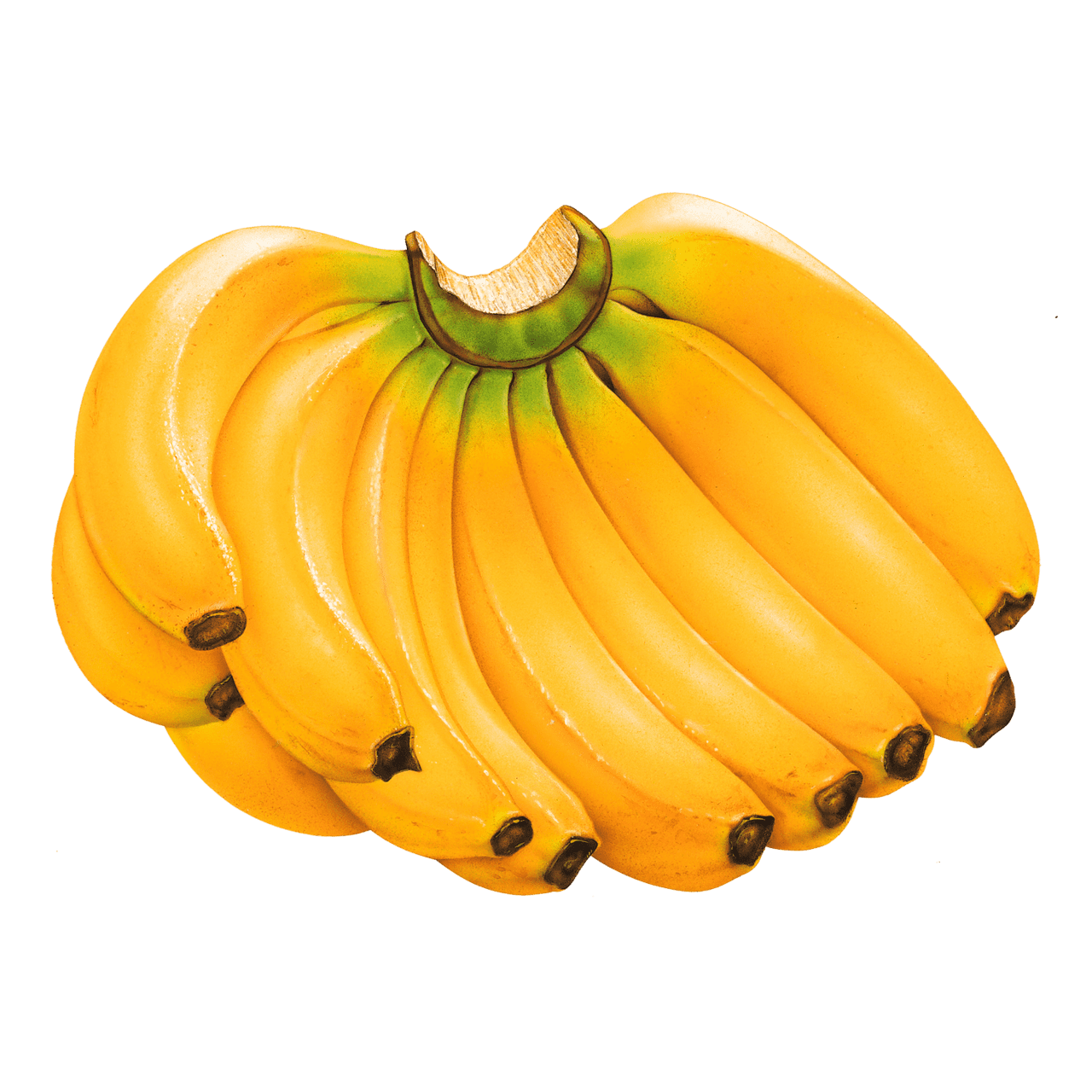 Banana images hd photo clipart 2