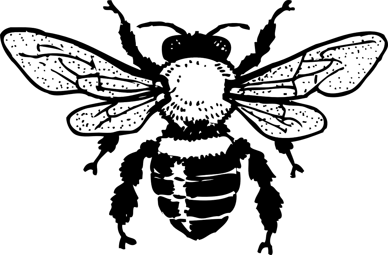 Beehive registered namecheap clipart transparent