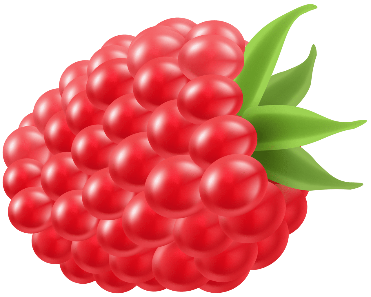 Fruit raspberry clipart image yopriceville high quality for