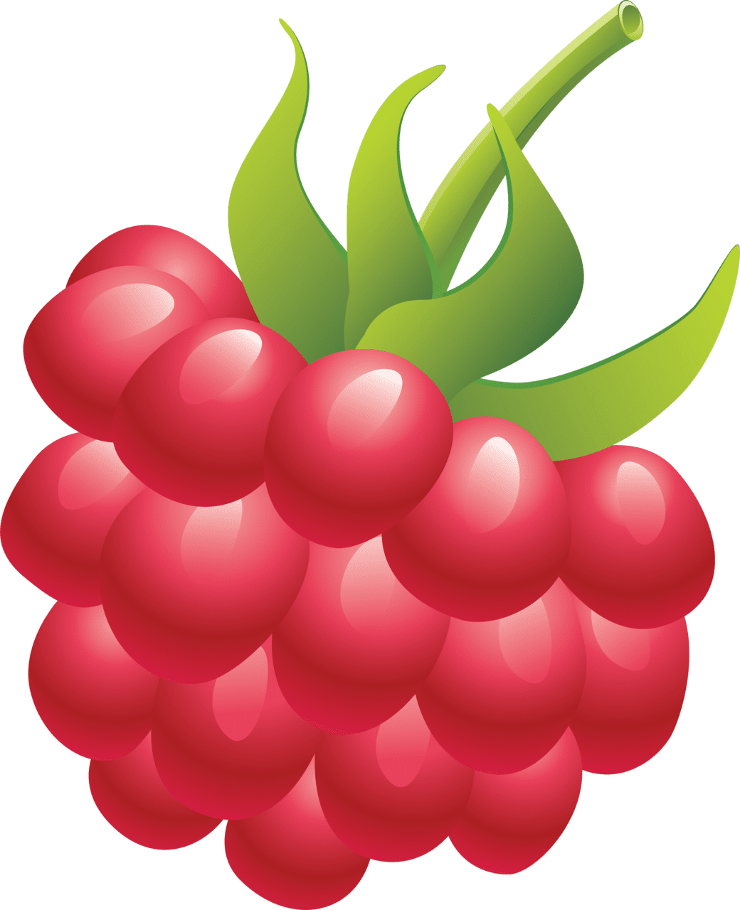 Fruit raspberry clipart picture