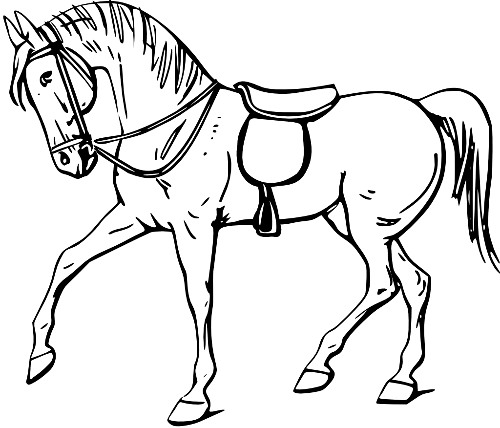 Horse printable coloring pages clipart background