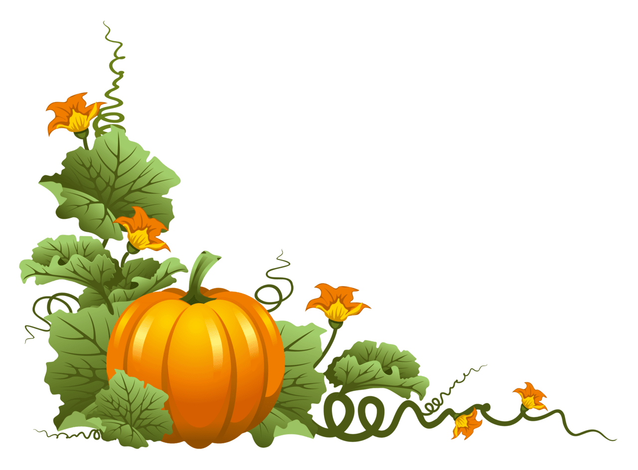 Autumn leaves pumpkin decor clipart background