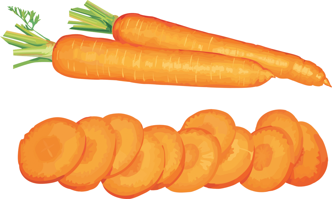 Carrot clipart photo