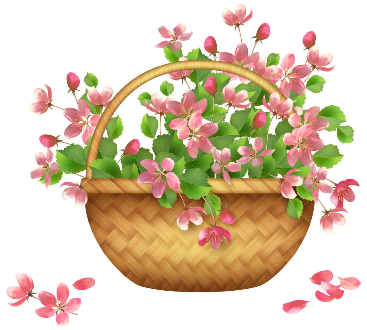 Spring spr flower basket clipart transparent