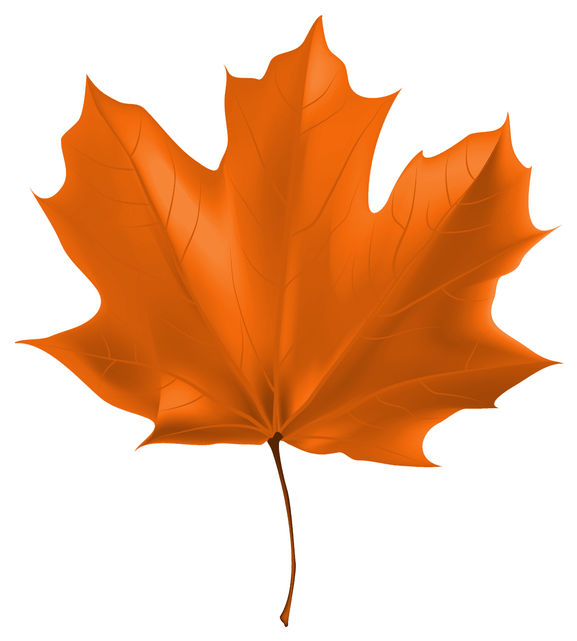 Fall leaf beautiful autumn clipart image